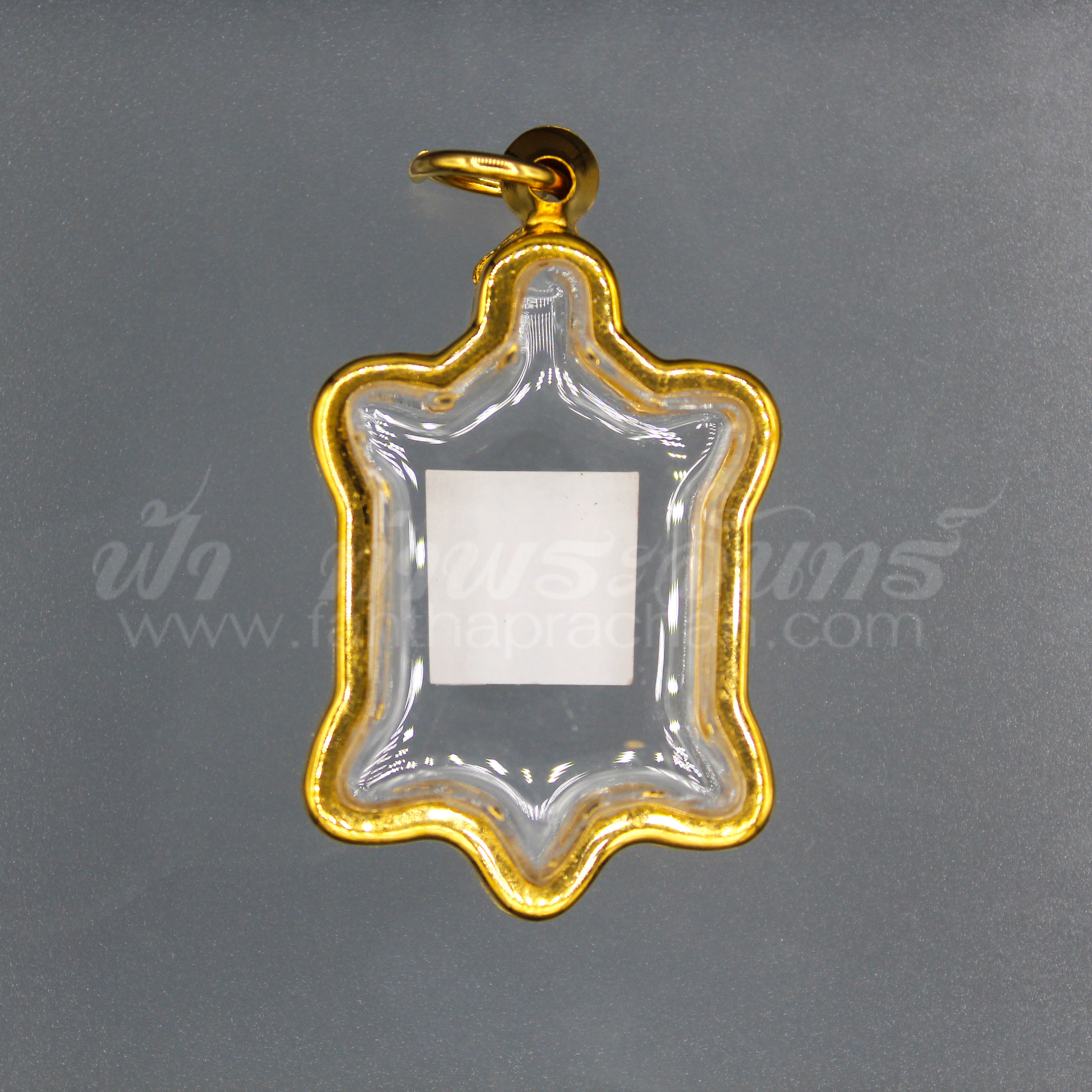 ตลับเต่า เลเซอร์