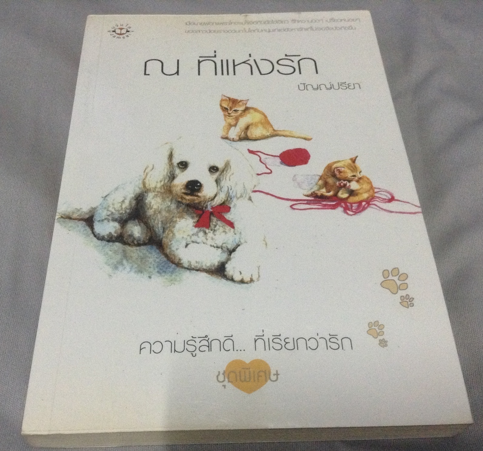 (สั่ง8จ่าย7) ณ ที่แห่งรัก ปัญญ์ปรียา ราคา 85