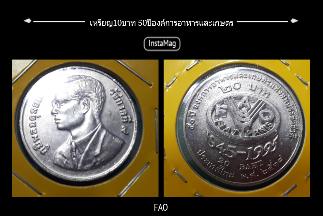 เหรียญ20บาท 50 ปีองค์การอาหารและเกษตรแห่งสหประชาชาติ FAO