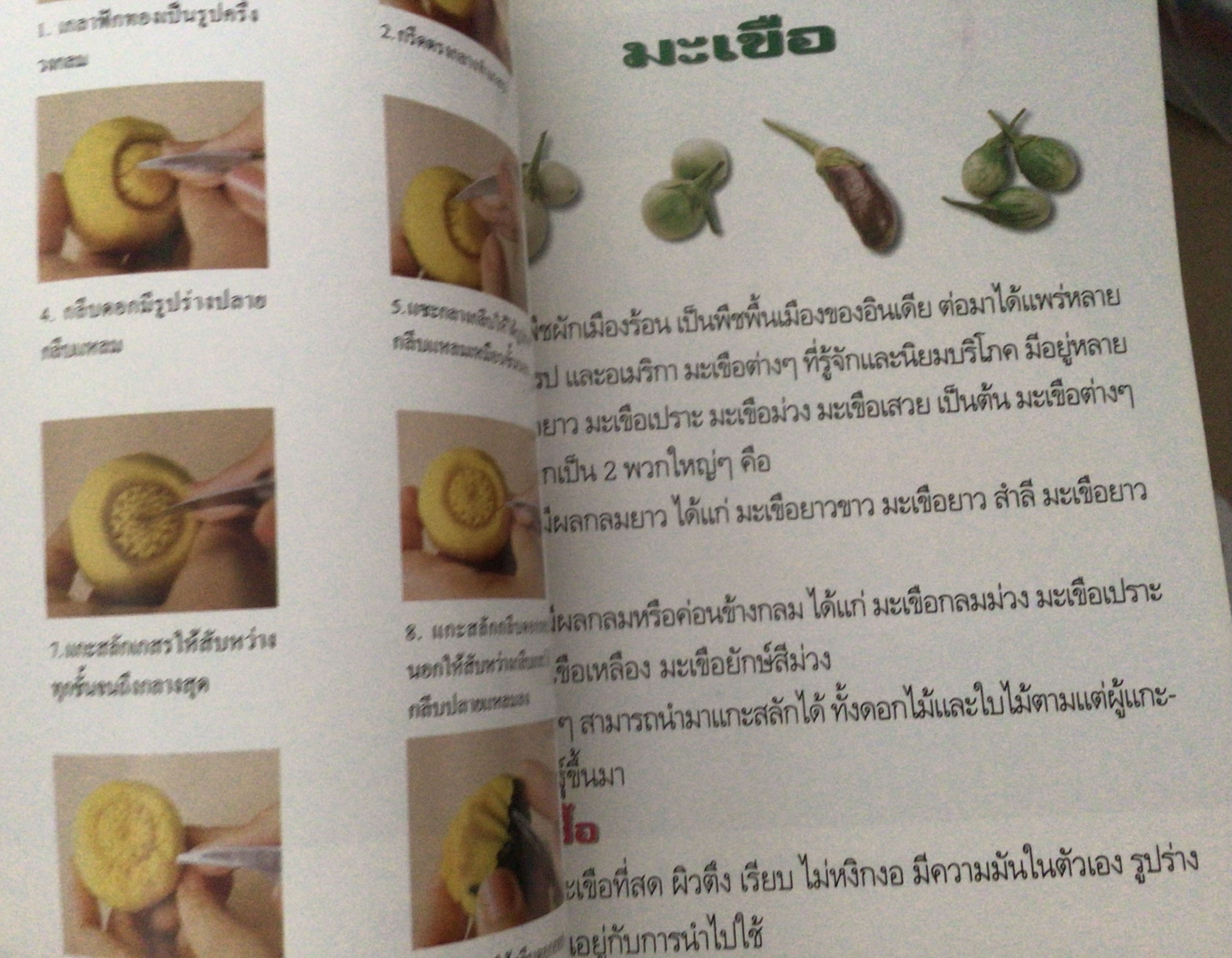 ประดิดประดอย แนะแนวการสอน พื้นฐานการแกะสลัก อาจารย์แสงอรุณ เชื้อวงศ์บุญ ราคา 500