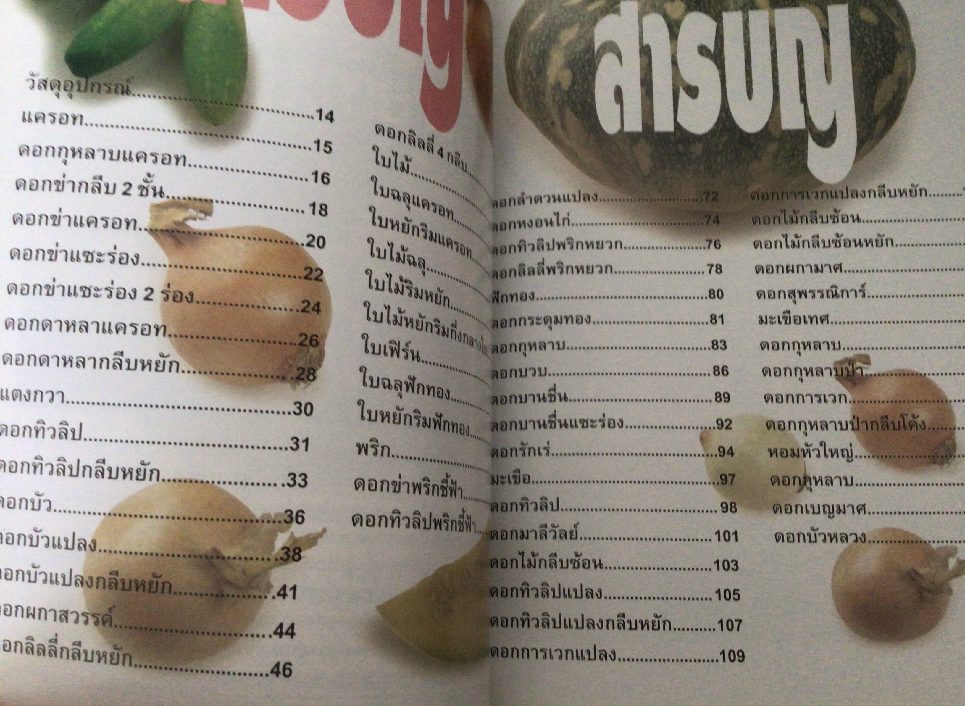 ประดิดประดอย แนะแนวการสอน พื้นฐานการแกะสลัก อาจารย์แสงอรุณ เชื้อวงศ์บุญ ราคา 500