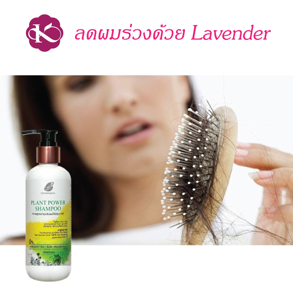 แชมพูทำให้ผมหนา ผมดก สร้างผมใหม่ ชมภิญญ์ สมุนไพร ยาสระผม วิธีทำให้ผมดกหนา ลดผมร่วง ผมบางมาก ใช้อะไรดี PLANT POWER SHAMPOO 250 ml.