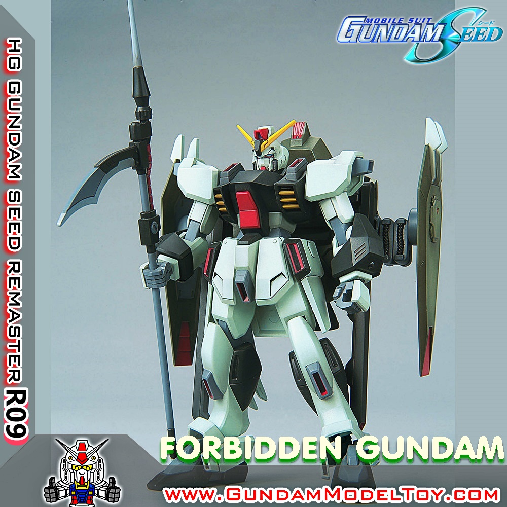 BANDAI HG FORBIDDEN GUNDAM โมเดล กันดั้ม กันพลา PS TOYLAND HGSEED