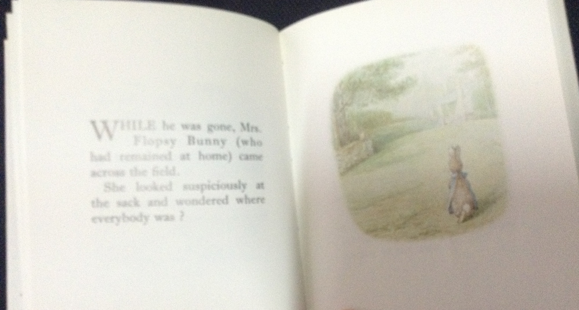 The Tale of the Flopsy Bunnies ราคา 90