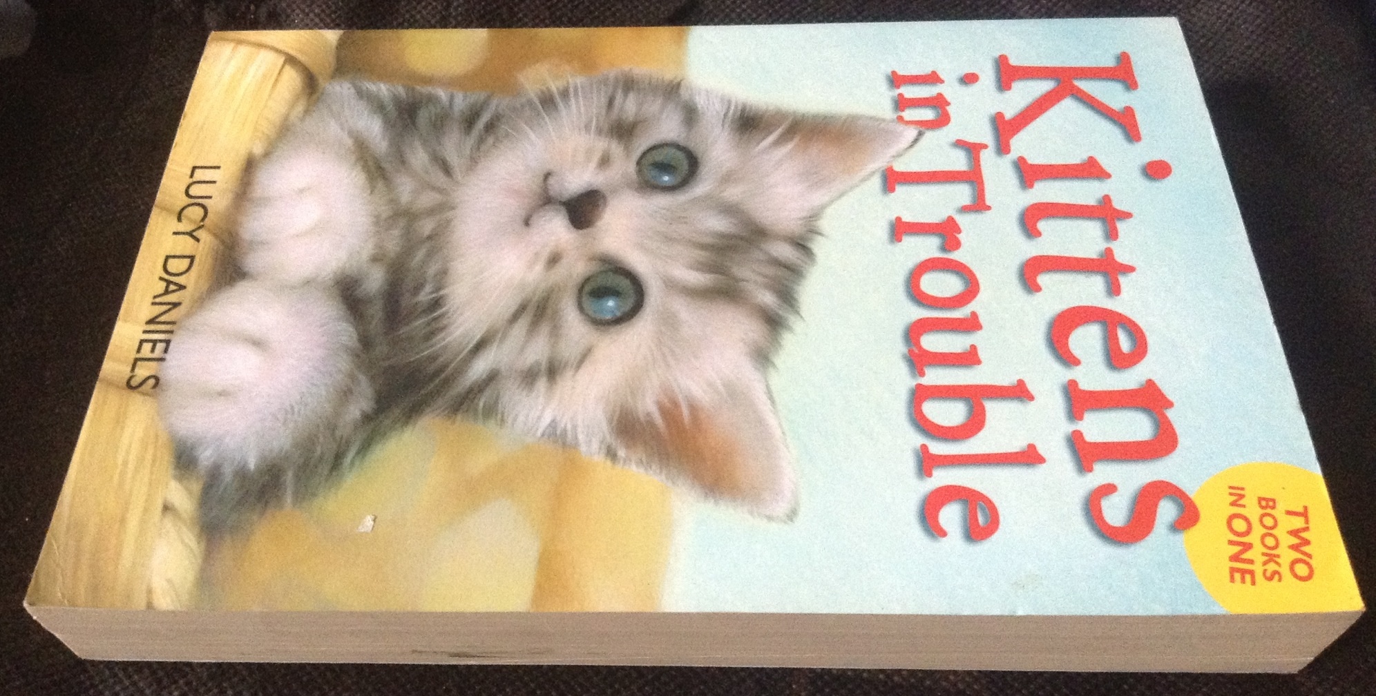 Kittens in Trouble (Kittens in the Kitchen & Kitten in the Cold) by Lucy Daniels ราคา 140