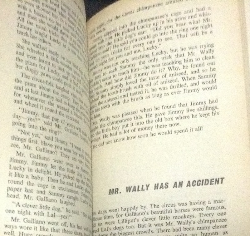 Mr Galliano's Circus ราคา 110