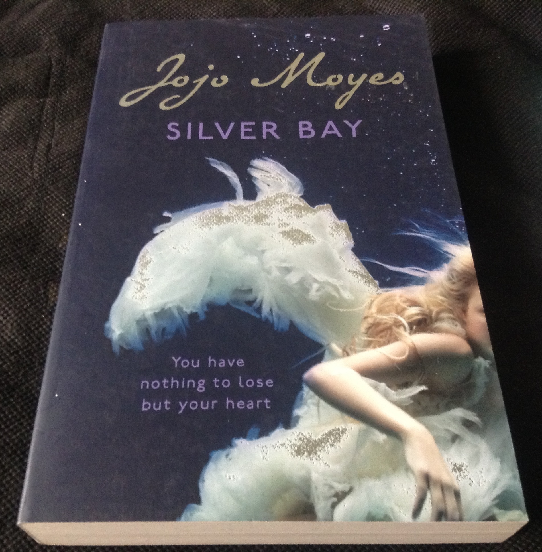 silver bay jojo moyes ราคา 250