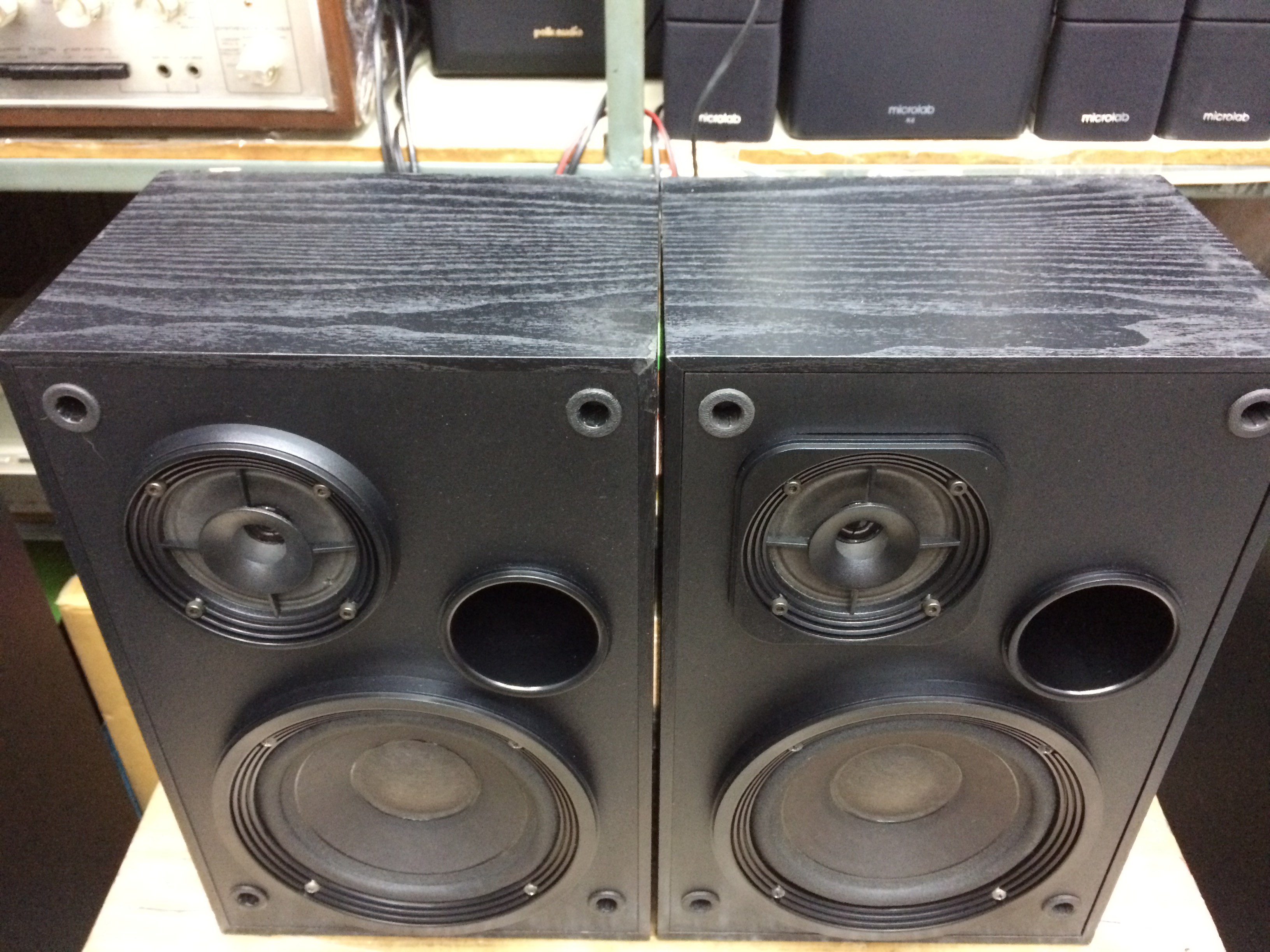 Bose Interaudio 2000