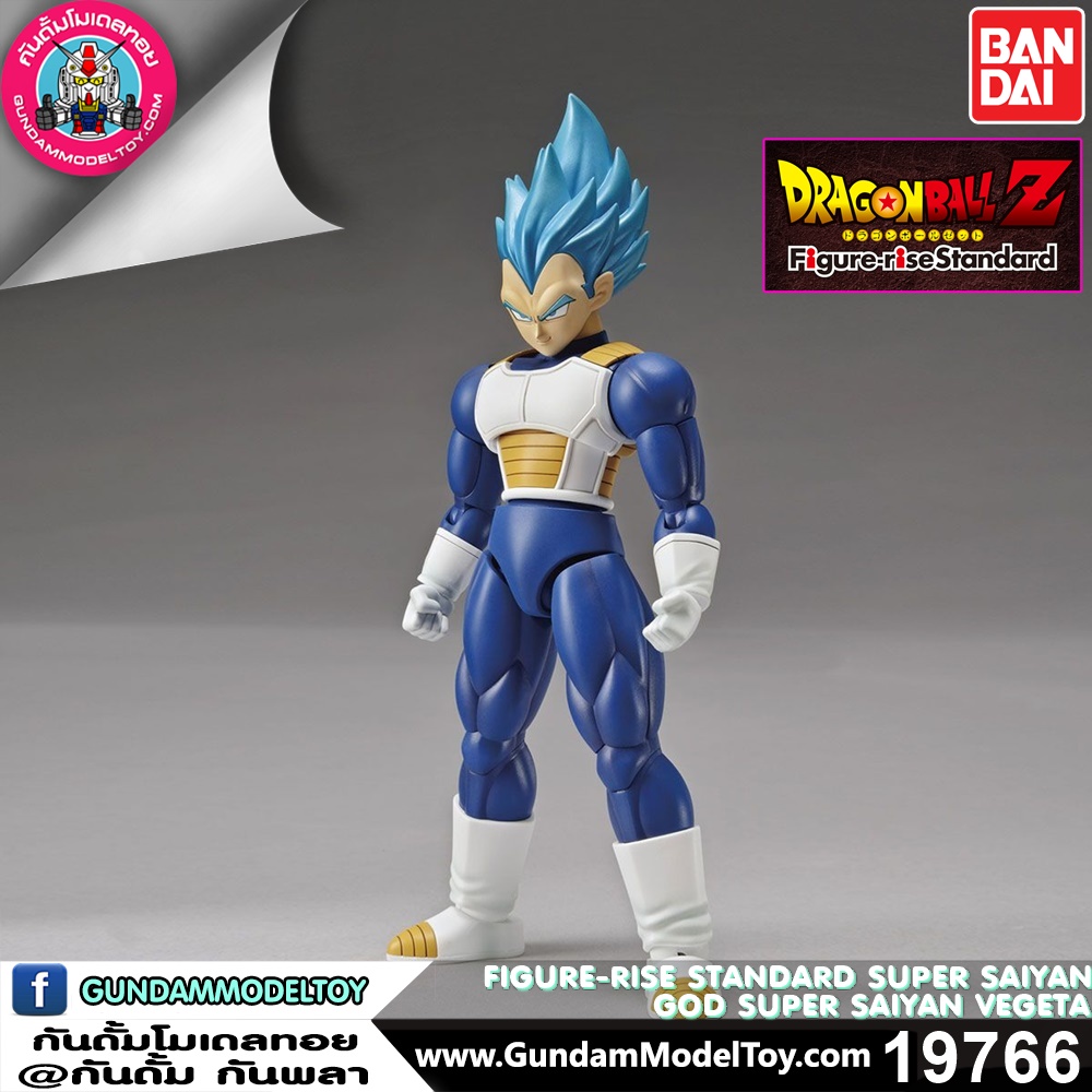 BANDAI ANIME FIGURE-RISE STANDARD SUPER SAIYAN GOD SUPER SAIYAN VEGETA โมเดล การ์ตูน อนิเมะ