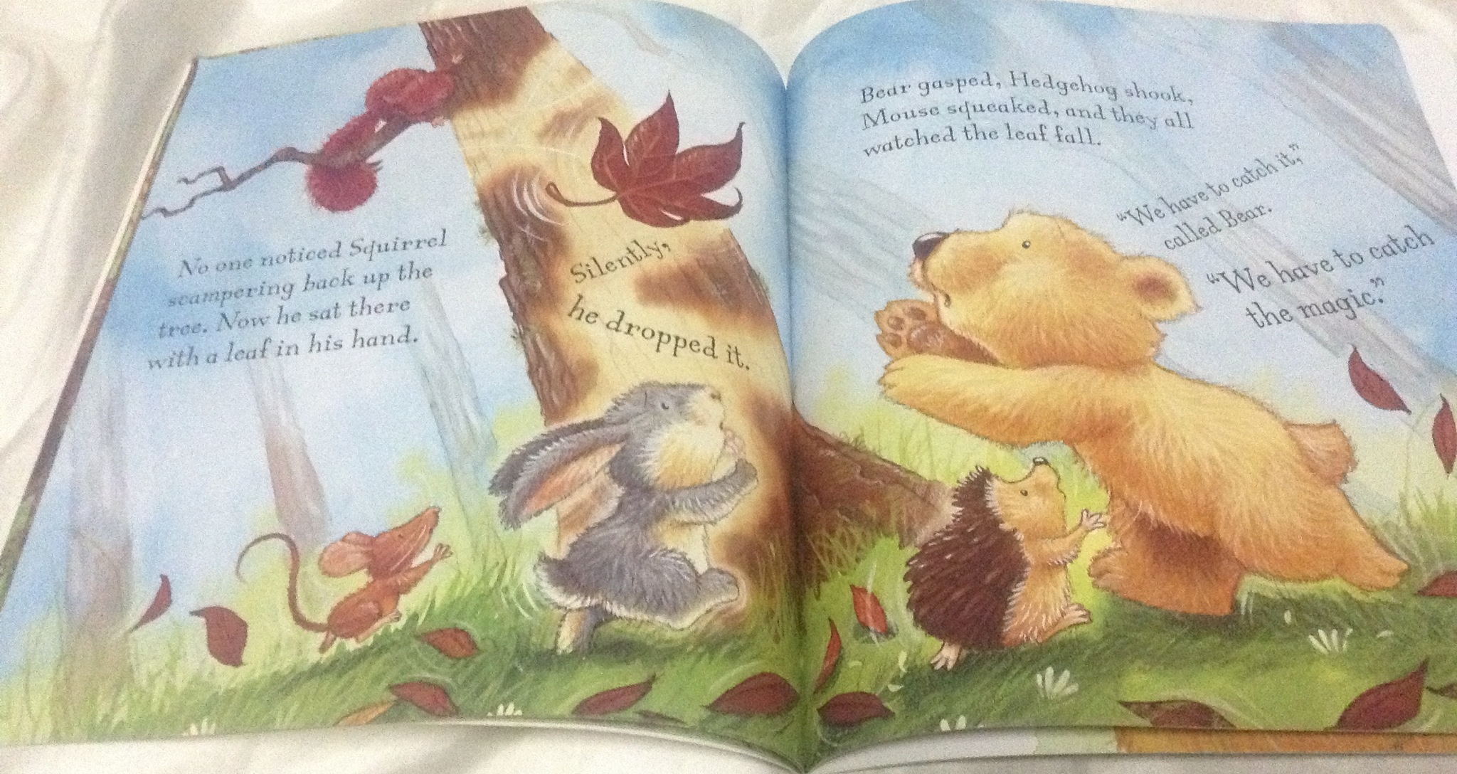 (4แถม4) How To Catch A Falling Star by Heidi Howarth, Daniel Howarth (Illustrator) ราคา 95