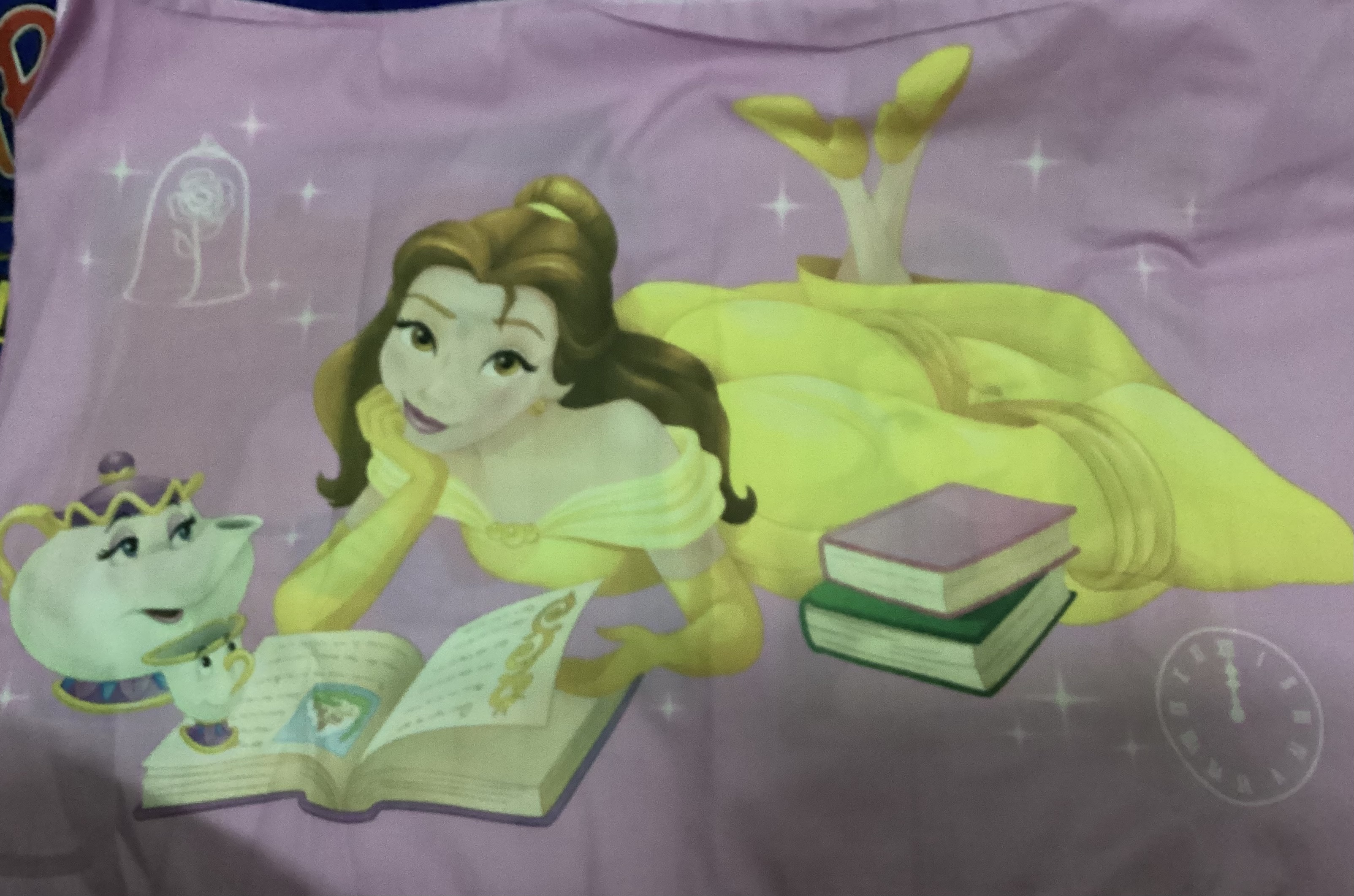 (สินค้าสำหรับเพิ่มยอดให้ถึงขั้นต่ำ) ปลอกหมอนหนุน ลายเจ้าหญิงจัสมิน สองชิ้น ราคา 120