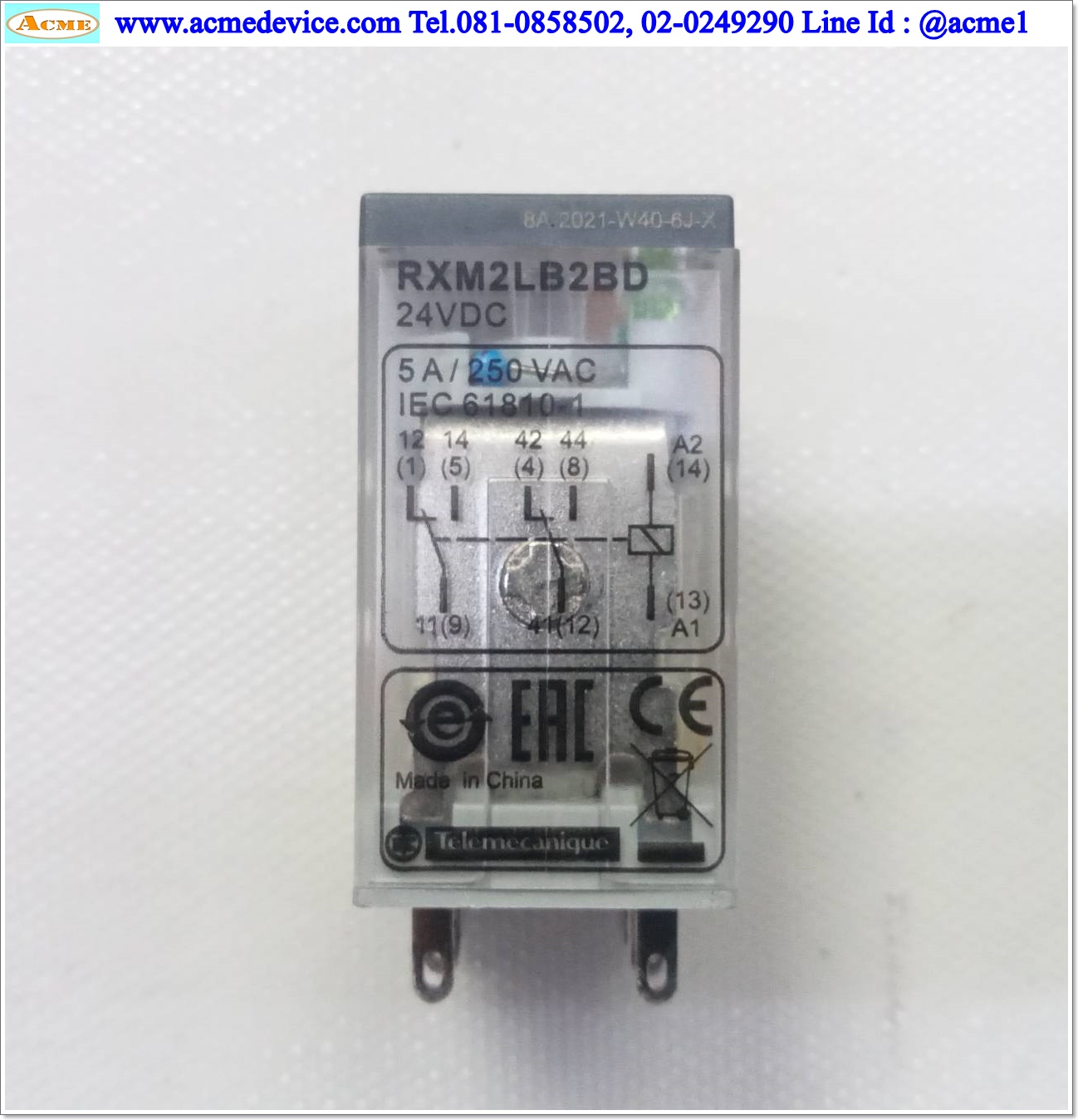 Relay Schneider รุ่น RXM2LB2BD, Coil 24Vdc + Socket