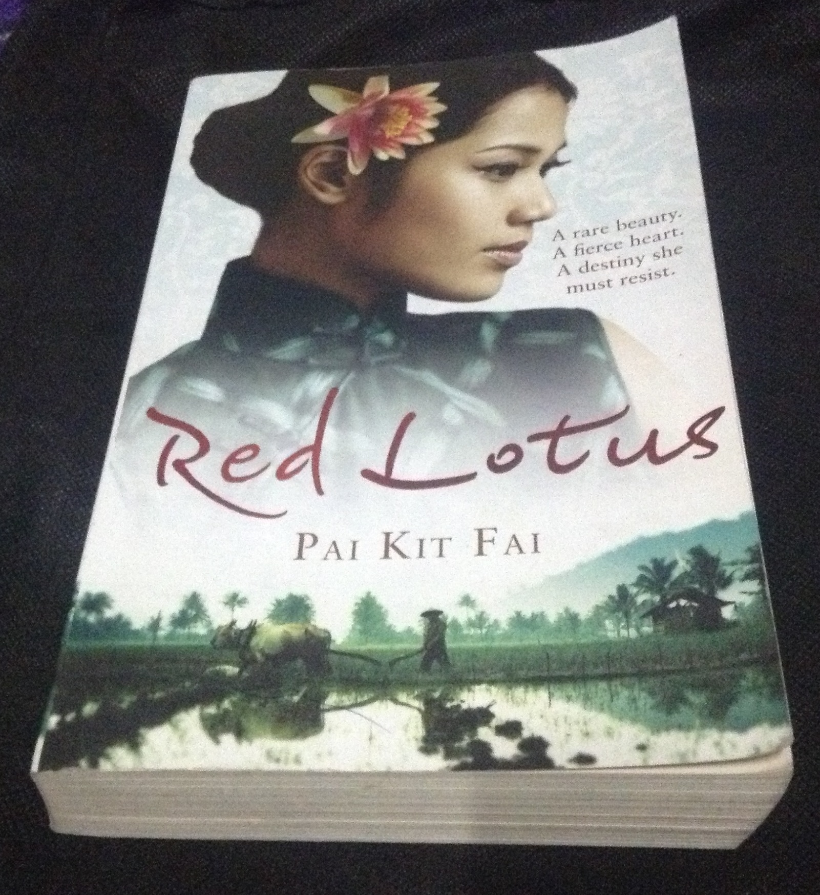 Red Lotus by Pai Kit Fai ราคา 250