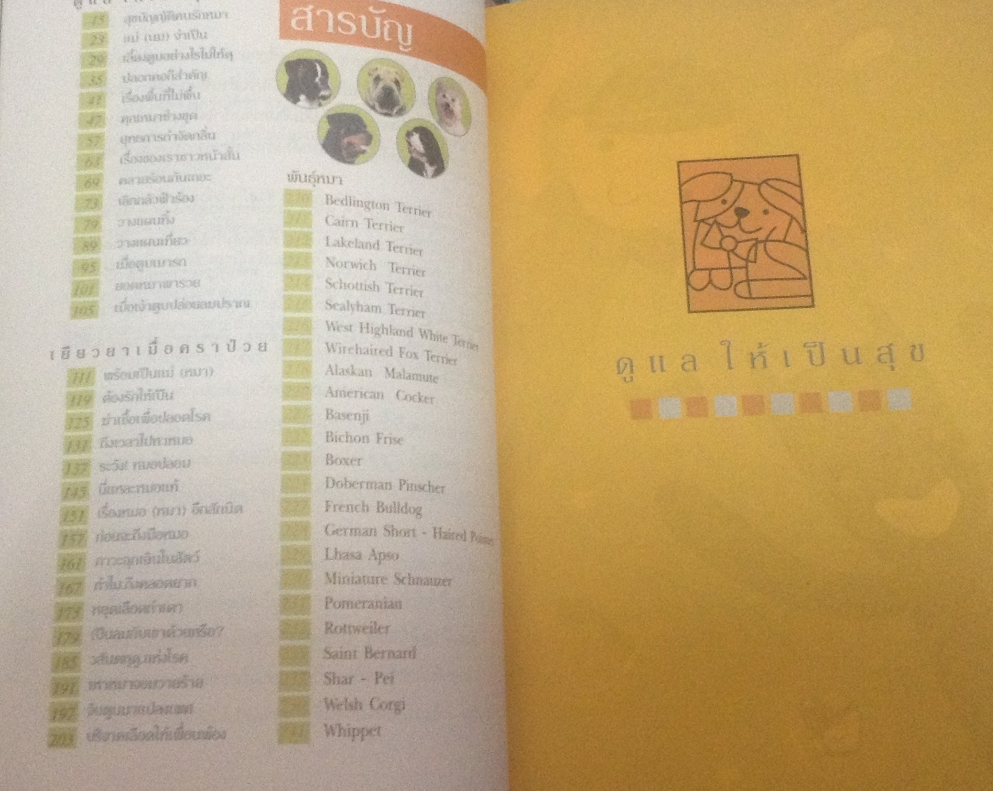 หมา(ไม่)หมา ชุดรักหมาให้เป็น ชนกพร จันทวิบูลย์ ราคา 133