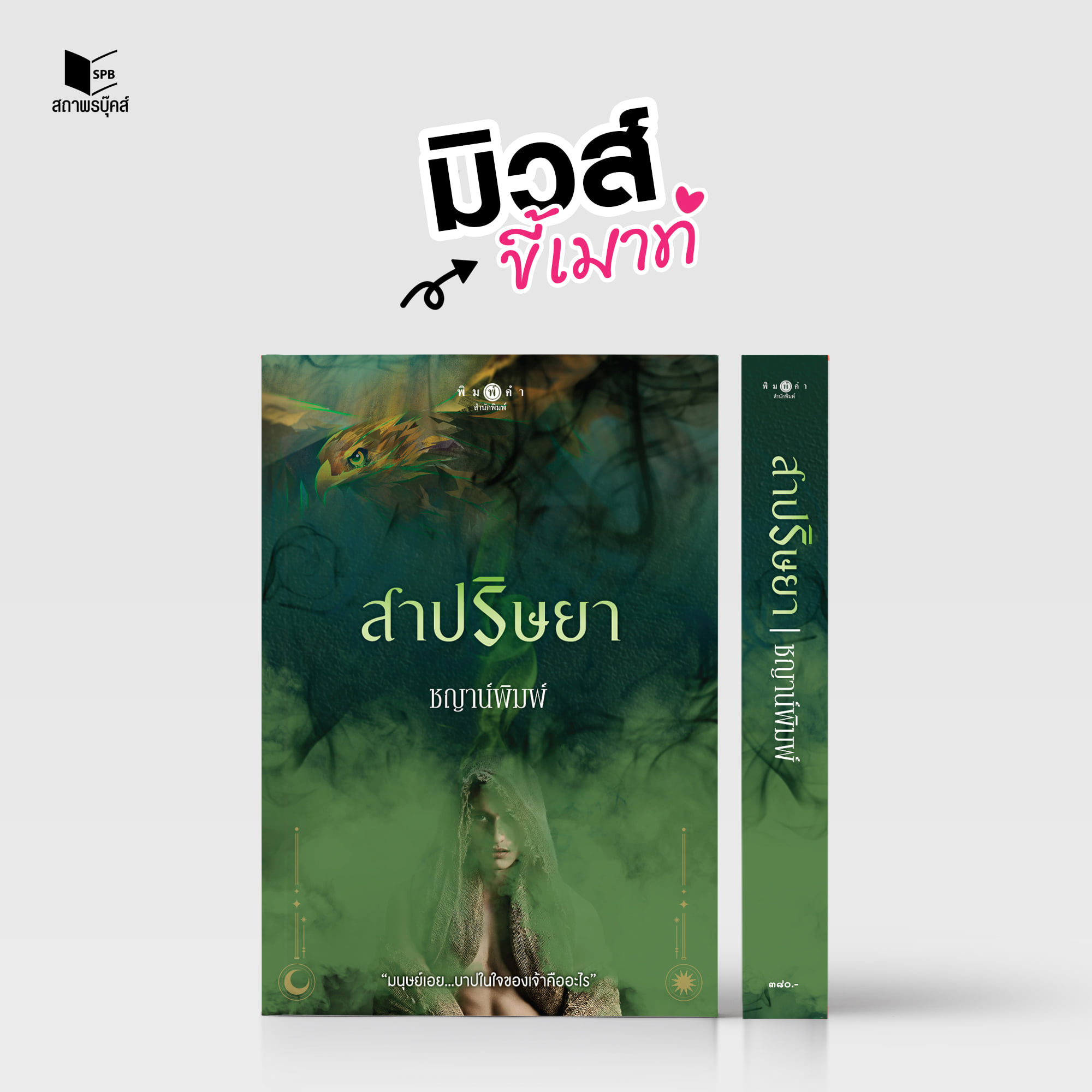 นิยายเรื่อง สาปริษยา ซีรีส์ บาปปรารถนา : ชญาน์พิมพ์ : พิมพ์คำ