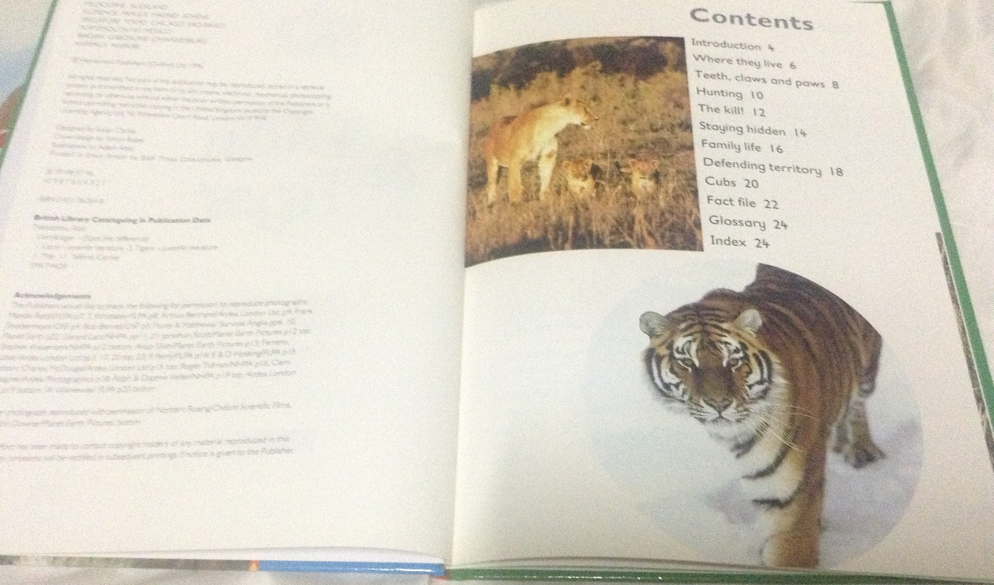 lion and tiger ราคา 180