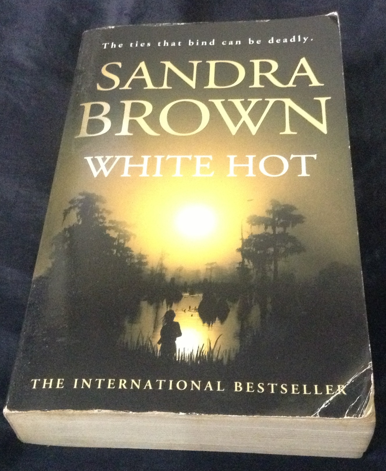White Hot by Sandra Brown ราคา 150