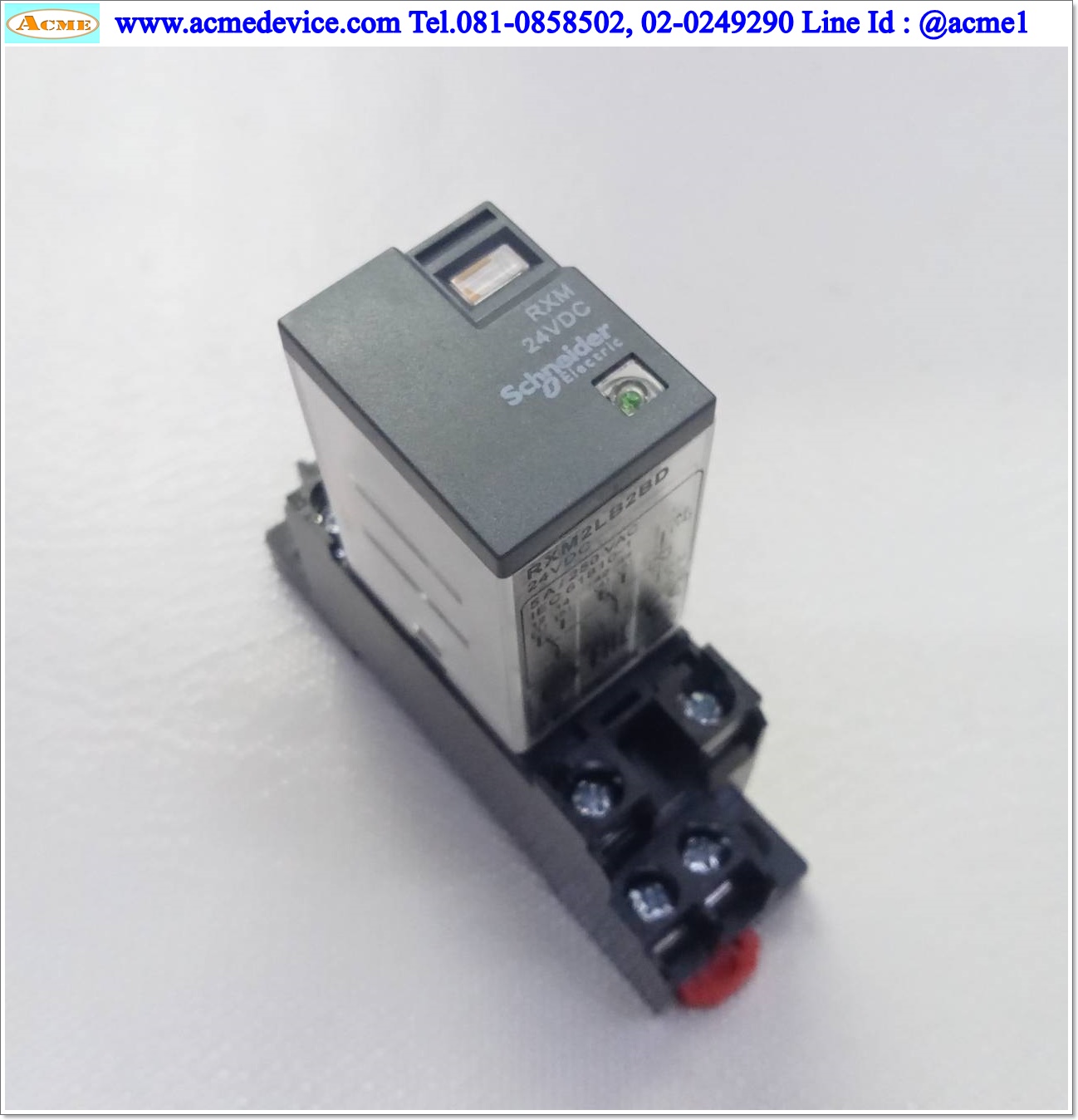Relay Schneider รุ่น RXM2LB2BD, Coil 24Vdc + Socket