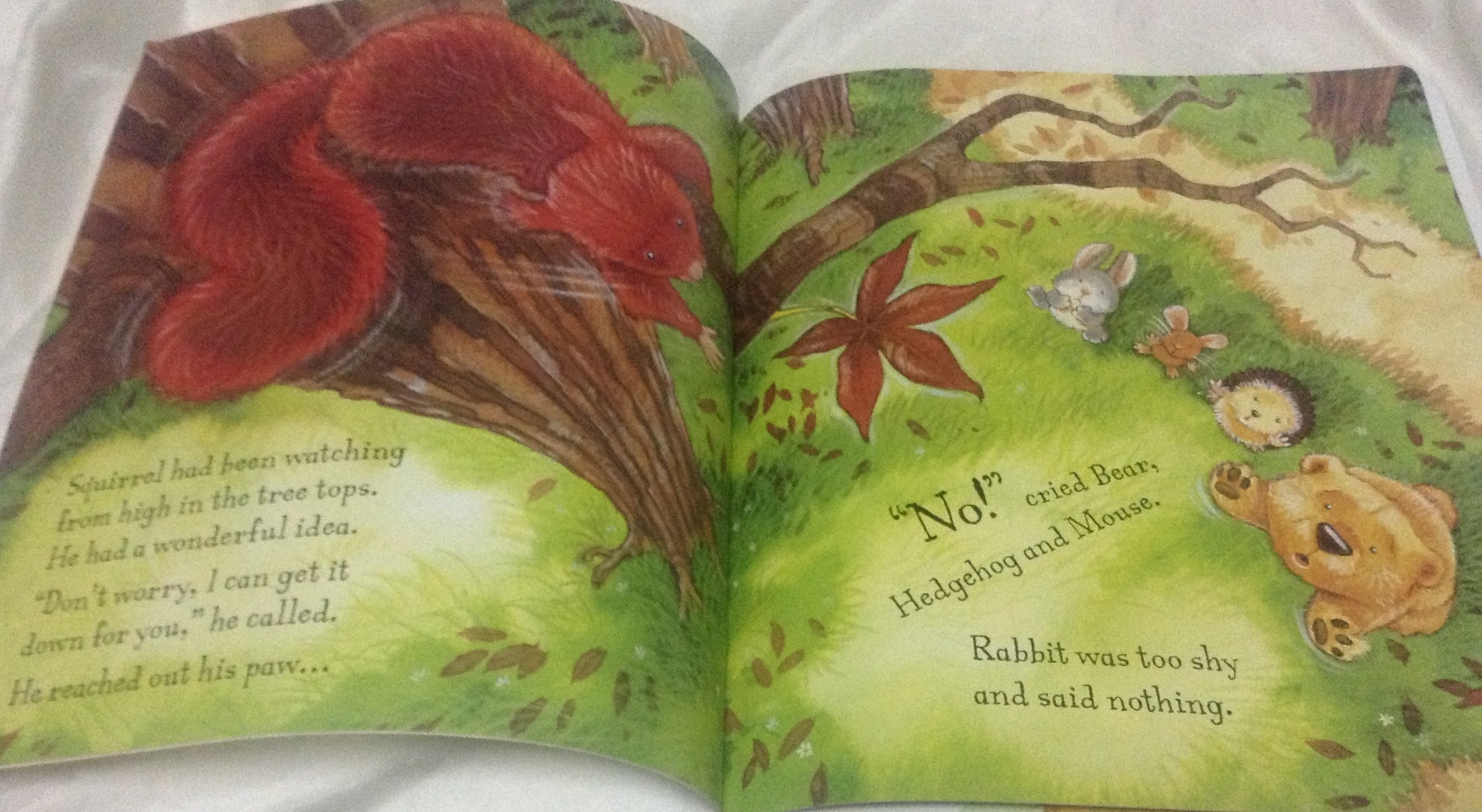 (4แถม4) How To Catch A Falling Star by Heidi Howarth, Daniel Howarth (Illustrator) ราคา 95