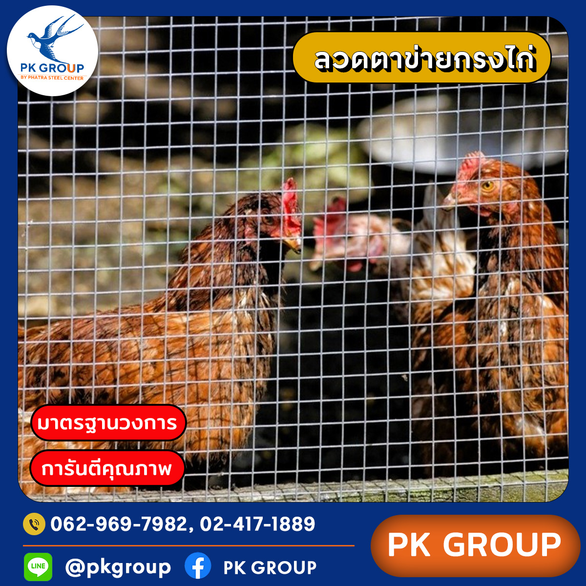 ลวดตาข่ายกรงไก่ ลวดตาข่ายกรงไก่