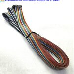 I/O Cable IAI รุ่น CB-PAC-PIO020, 2M