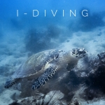 ดำน้ำ พัทยา Scuba trip Pattaya