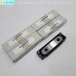 Linear Block SCHNEEBERGER รุ่น SR6-100 (สินค้าใหม่)