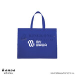 กระเป๋าสปันบอนด์ 50*40*12 cm สกรีนโลโก้หน่วยงาน