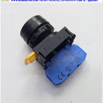 Pushbutton Switch รุ่น YW1B-M1E10G, 1NO
