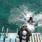 ดำน้ำ แสมสาร Scuba trip Samaesarn