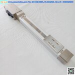 Slider Servo Copley รุ่น RCACR-SA5D-I-20-6-200-B24-RM24-VH-SP, Stroke 200 mm.