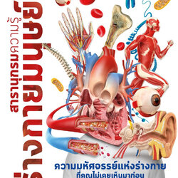 หนังสือเรื่อง สารานุกรมความรู้ ร่างกายมนุษย์ : DK : สำนักพิมพ์ นานมีบุ๊คส์