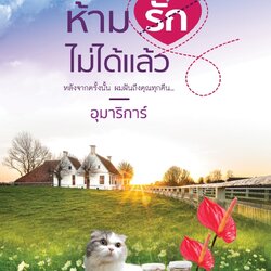 นิยายเรื่อง ห้ามรักไม่ได้แล้ว : อุมาริการ์ : สำนักพิมพ์ เป็นหนึ่งสำนักพิมพ์