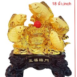 ปลาหลีฮื้อ5ตัวถังทอง18นิ้ว