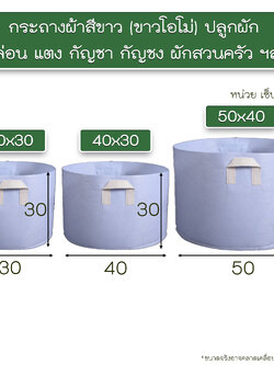 กระถางผ้า กระถาง ถุงผ้าปลูกพืช สีขาว ระบายน้ำได้ดี รากเดินไว ไม่อมความร้อน