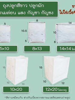 ถุงปลูกต้นไม้ ถุงเพาะชำ ถุงขาวปลูกต้นไม้ (กิโลกรัม)