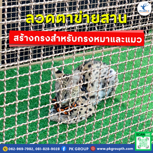 การใช้ลวดตะแกรงสานในการสร้างกรงสำหรับกรงหมาและแมว