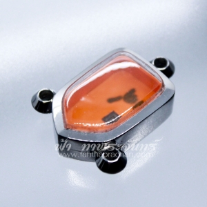 แสตนเลส พุก