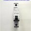 Breaker Circuit Siemens รุ่น 5SY41 MCB C10, 5SY4110-7, 10A, 230/400V