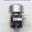 Push Button Switch Allen-Bradley รุ่น 800T-FX A, 30mm