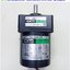 Torque Motor Oriental รุ่น 4TK10GN-CW2, 10W, 220V, Tension & Gear Head รุ่น 4GN12.5S, Ratio 1:12.5