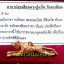 เสือรุ่น 7 หลวงปู่แย้ม วัดตะเคียน นนทบุรี ฉลองอายุครบ 8 รอบ บารมี 96 เนื้อทองแดง พิมพ์เล็ก