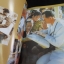 หนังสือรวมภาพ 8ทศวรรษกษัตราธิราช สมัยพระบาทสมเด็จพระเจ้าอยู่หัวรัชกาลที่9 ทรงเจริญพระชนมพรรษาครบ80พรรษา 5ธันวาคม2550 ภาพสีทั้งเล่ม 146หน้า