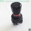 Regulator Parker รุ่น 06R213AC, 250 PSI