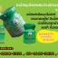 ว่านชักมดลูกเบอร์ 777 [ประจำเดือนมาไม่ปกติ] - ของแท้ 100%