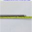 Lead Screw Universal รุ่น 3,977,269, Diameter 1/2", Lead 0.040", Travel 14"
