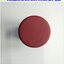 Emergency Switch AutomationDirect รุ่น ECX1030, 2 N.C.