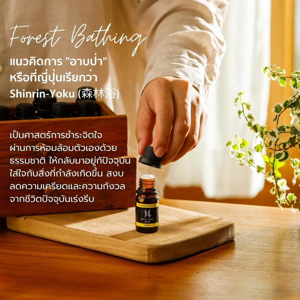 Pure Natural Essential Oil